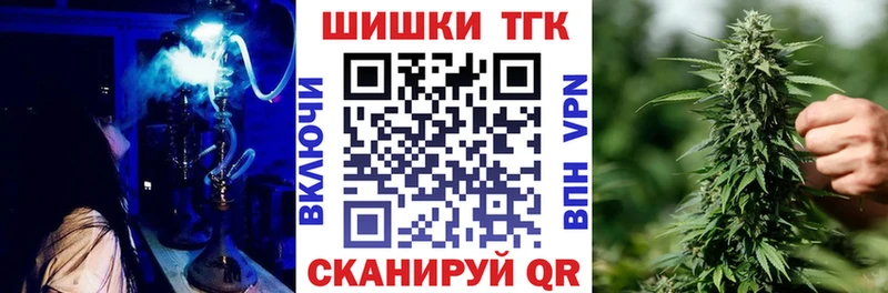 Бошки марихуана сатива  Купить где  Нефтекумск 